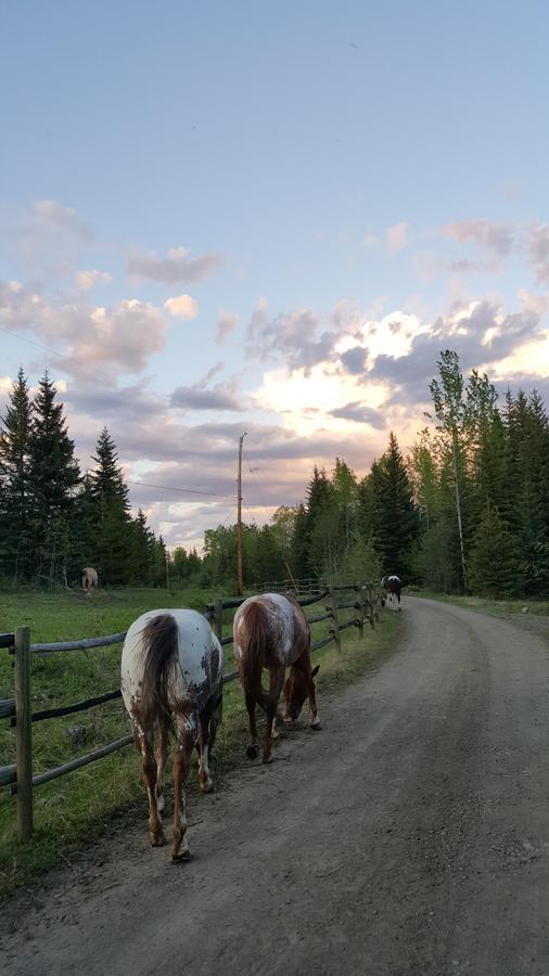 Bed and Breakfast Wettstone Guest Ranch Bridge Lake Exterior foto