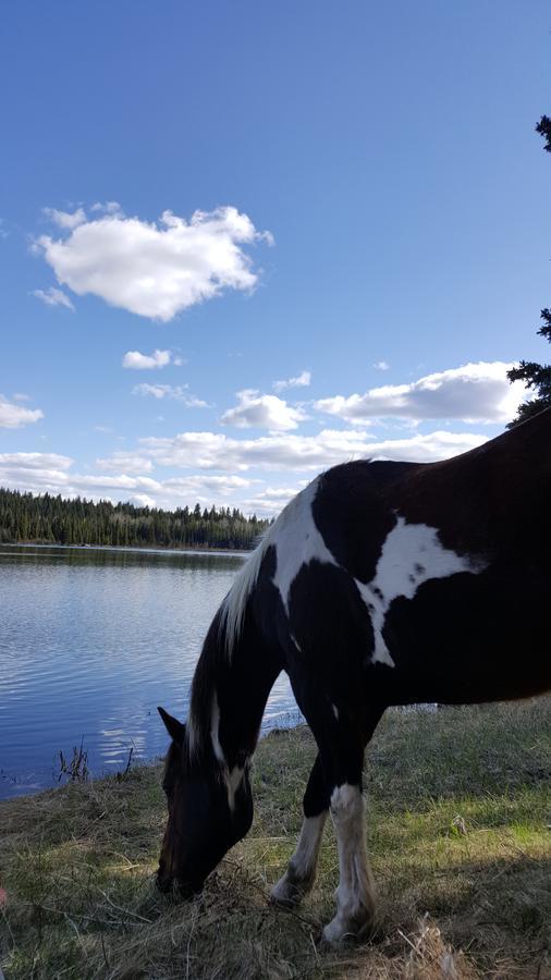 Bed and Breakfast Wettstone Guest Ranch Bridge Lake Exterior foto